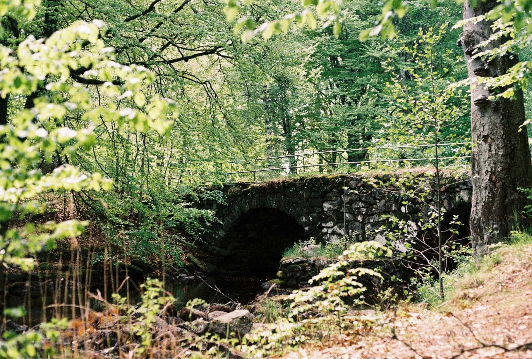 Landskap 4