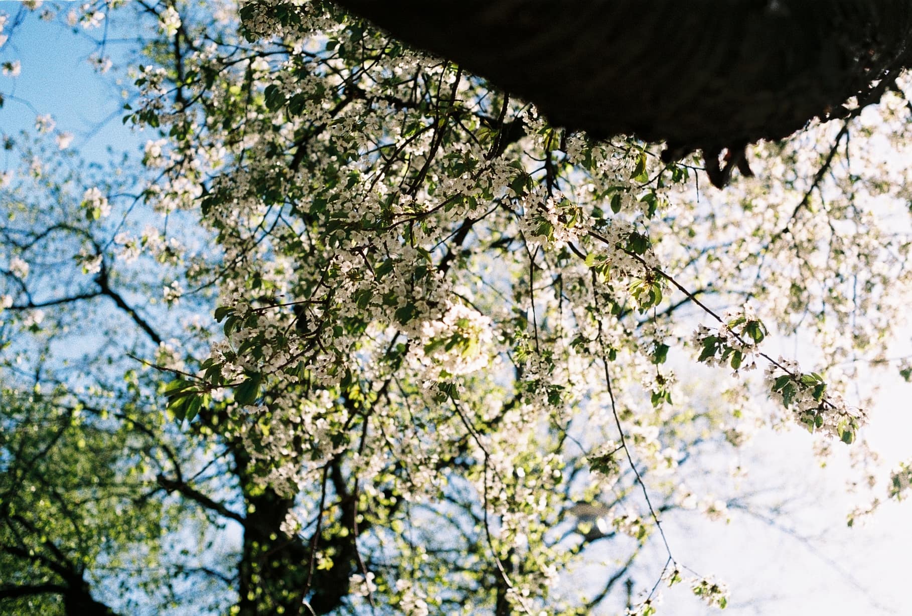 Natur 6