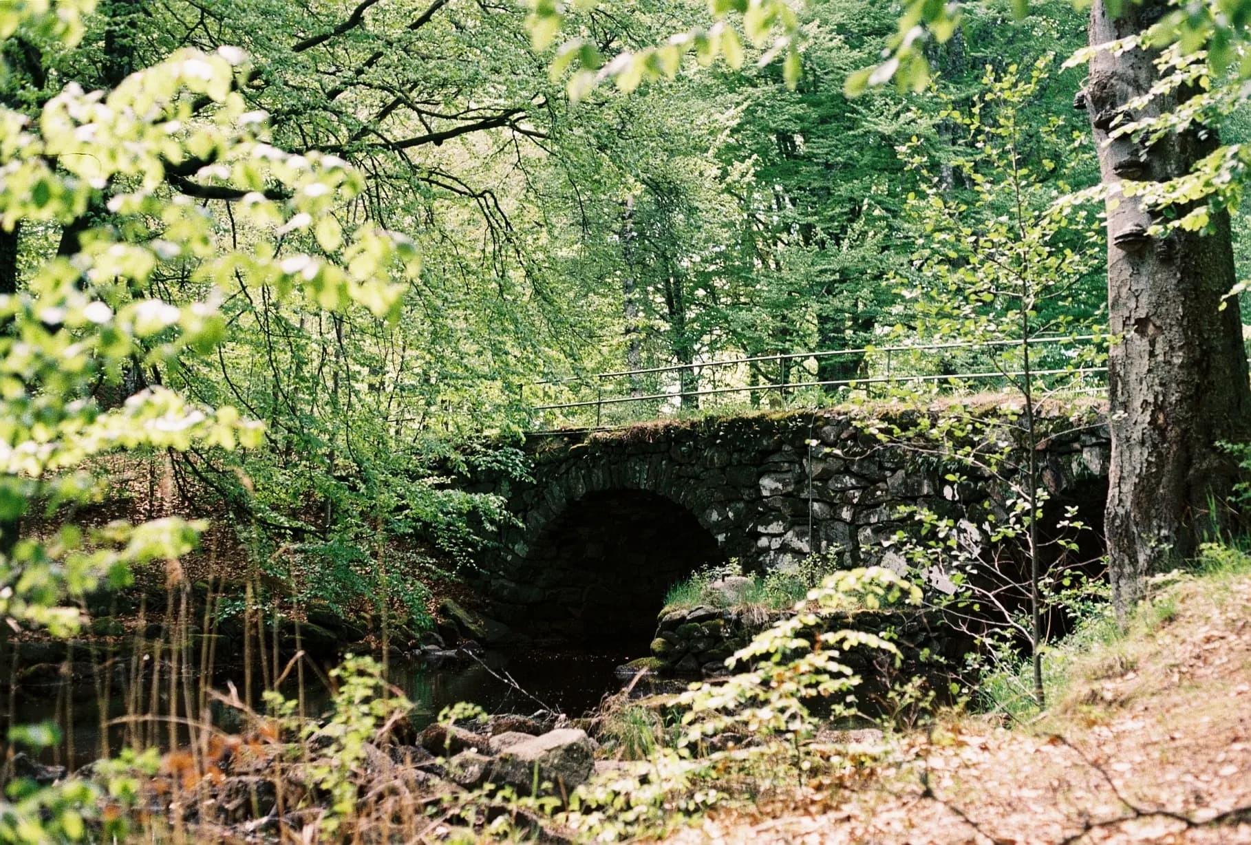Landskap 4